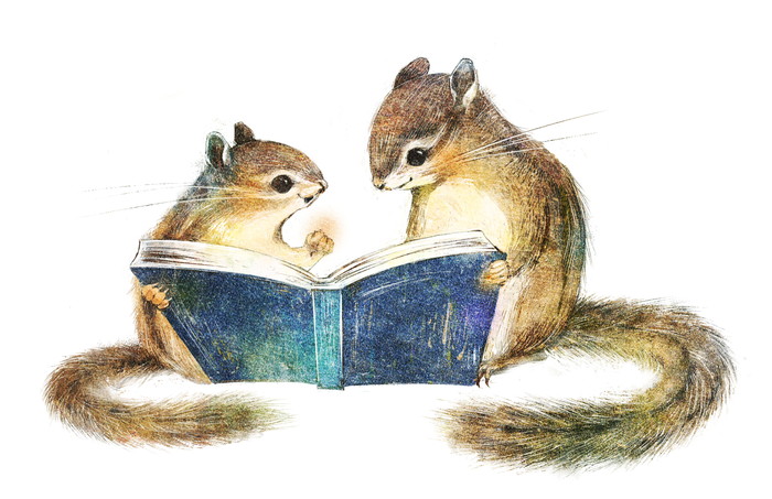 シマリスのイラスト Chipmunk illust