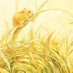 カヤネズミのイラスト　水彩風の挿絵　茶草場