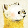 テンの絵　ニホンテンのイラスト　絵　日本の野生動物のイラスト　marten illust