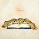 ニホンヤマネ　ヤマネのイラスト・画像　ヤマネと本　dormouse illust　 book