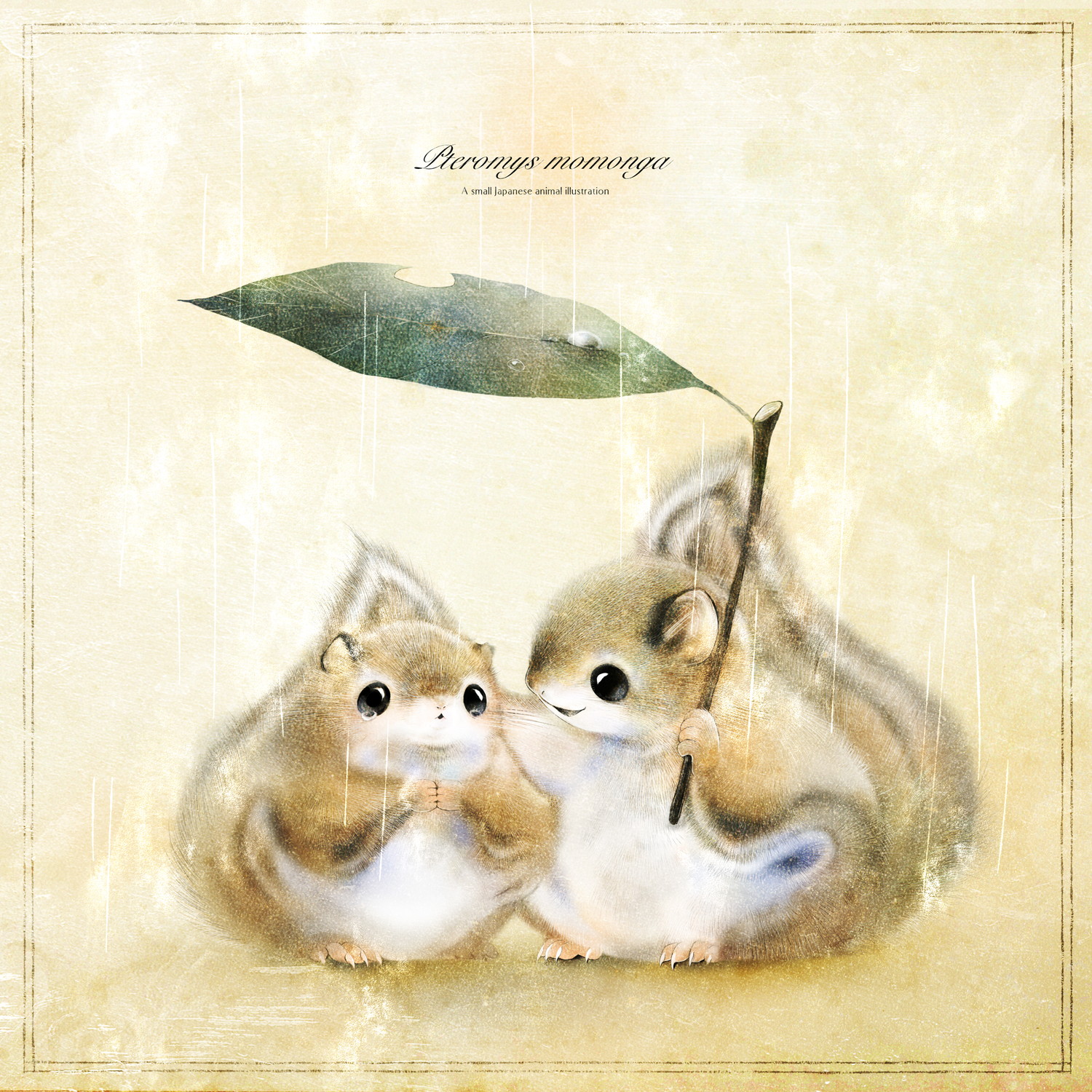 ニホンモモンガのイラスト　Pteromys momonga