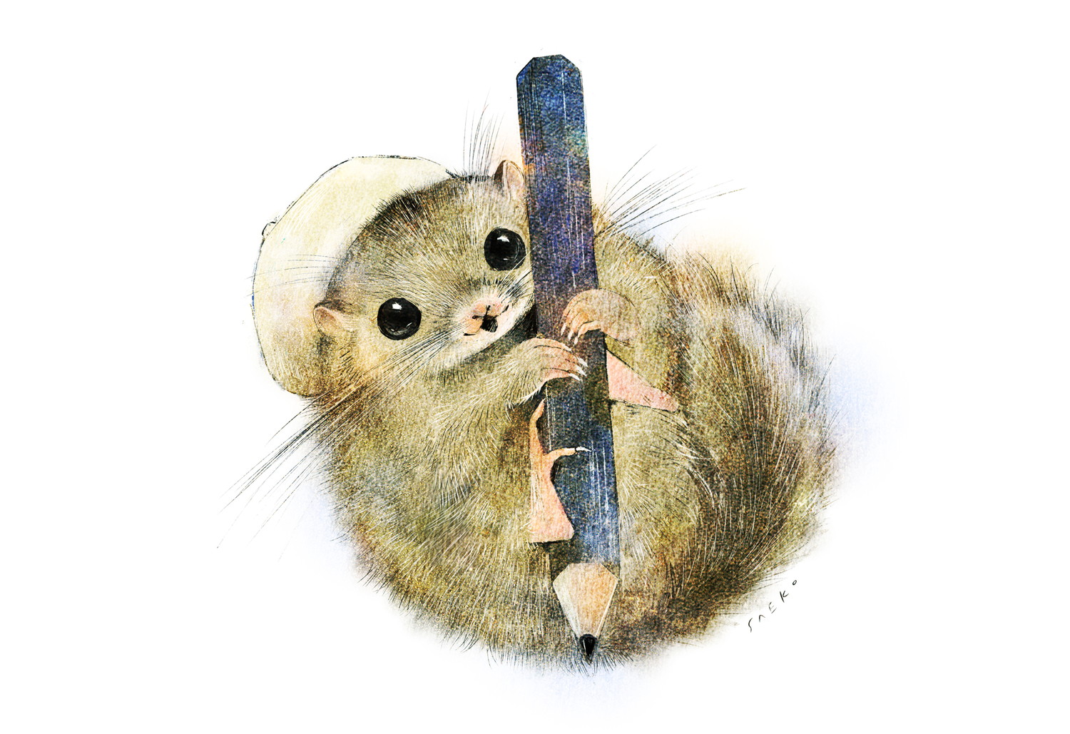 ニホンヤマネ　鉛筆のイラスト　えんぴつ　ヤマネのイラスト　　ヤマネの絵　書いている挿絵　dormouse illust　 Picture book