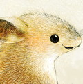 ネズミのイラスト