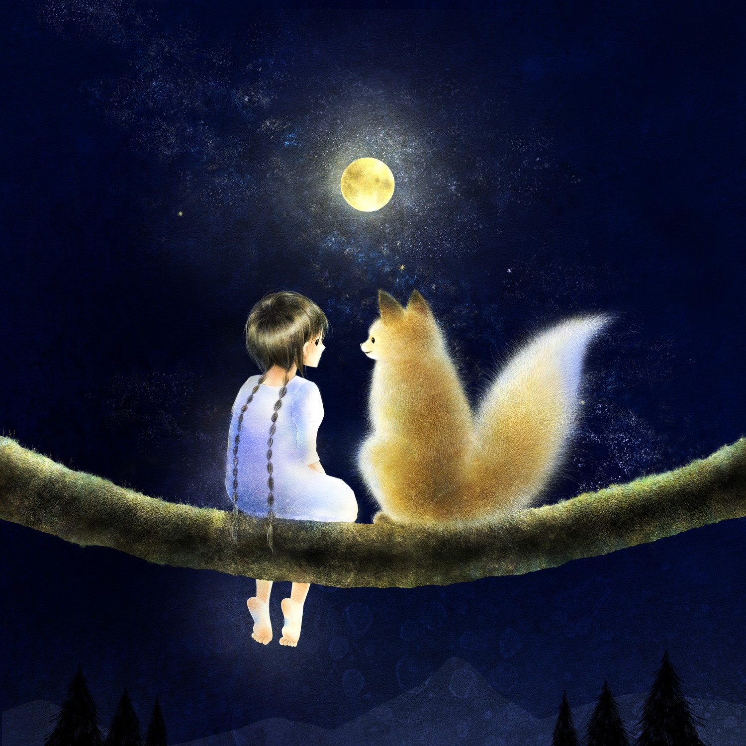 ホンドキツネ　星空のイラスト