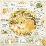 カヤネズミとは？イラスト解説　カヤネズミのエサ、食べ物、巣作り、赤ちゃんを見つけたら？害獣なの？イネを食べるの？
