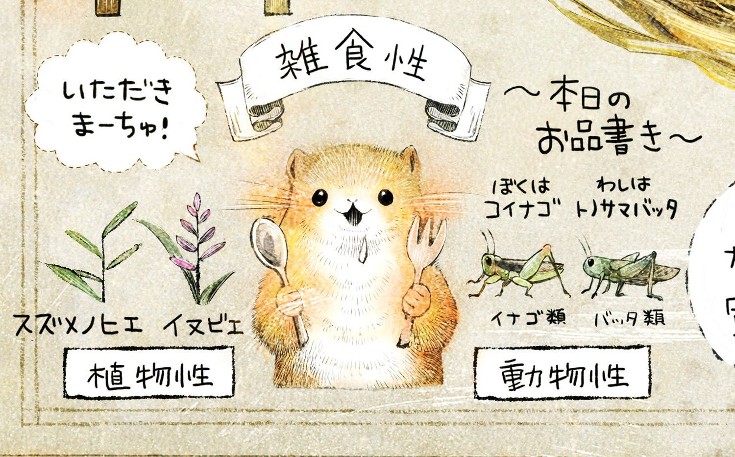 カヤネズミとは?イラスト解説 カヤネズミの食性。雑食性で、ヒエ類(イヌビエ、スズメノヒエ)、昆虫(イナゴやバッタ)をよく食べる。