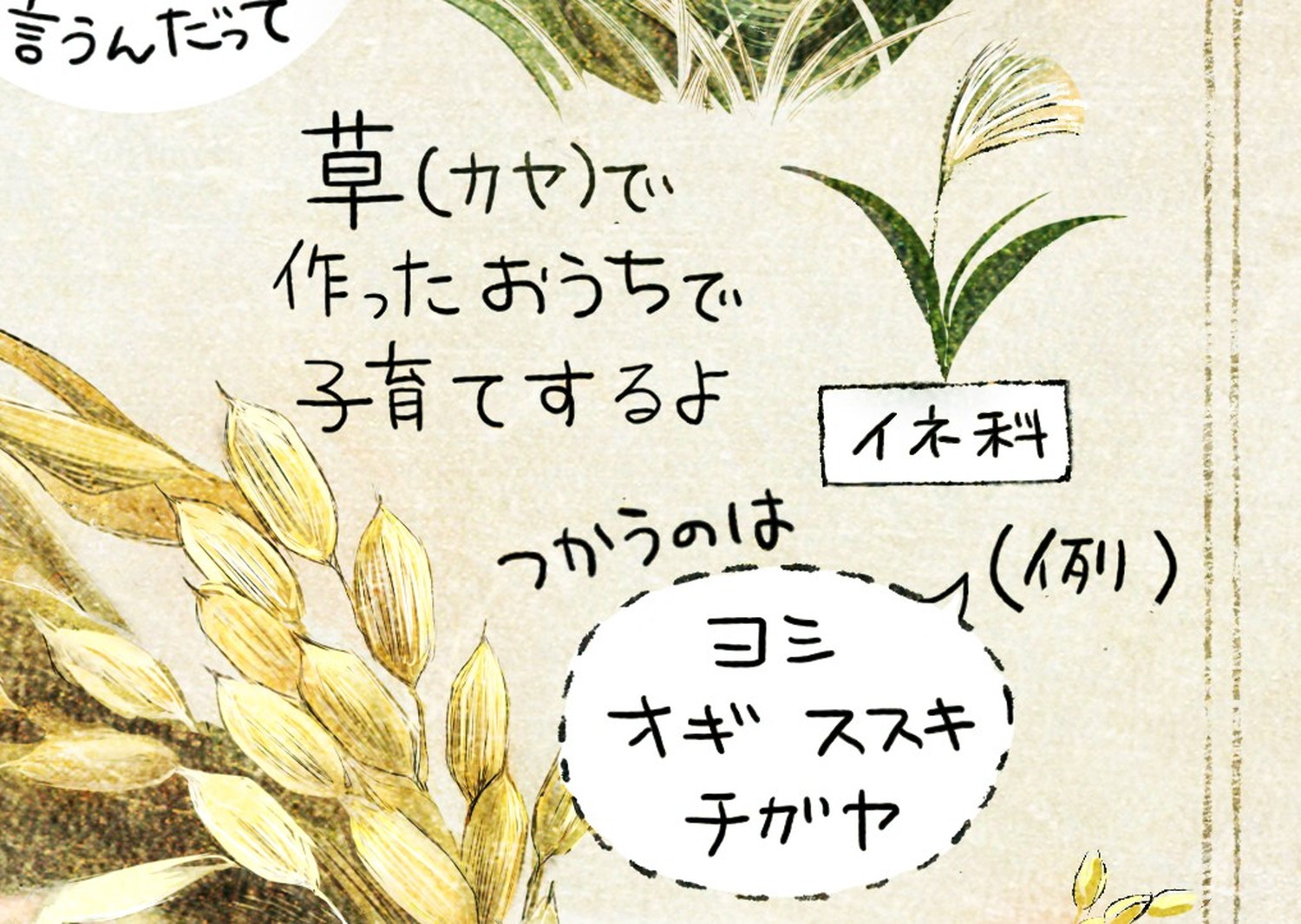 カヤ(草)を編んで、巣を作るよ。巣作りに使うのは、ヨシ、オギ、ススキ、チガヤなどイネ科の植物。カヤネズミとは?イラスト解説