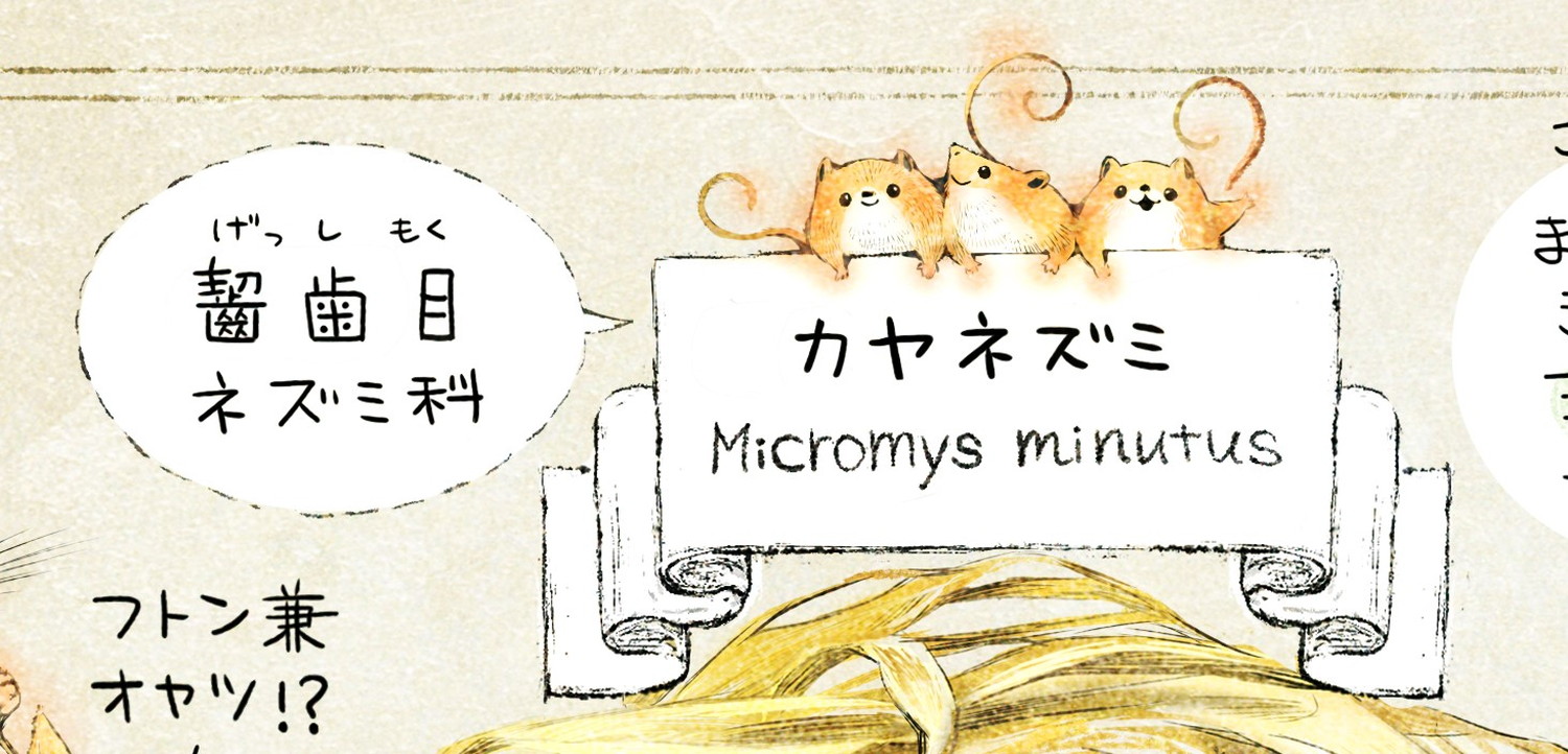 カヤネズミとは?イラスト解説 カヤネズミは、齧歯目ネズミ科の動物。