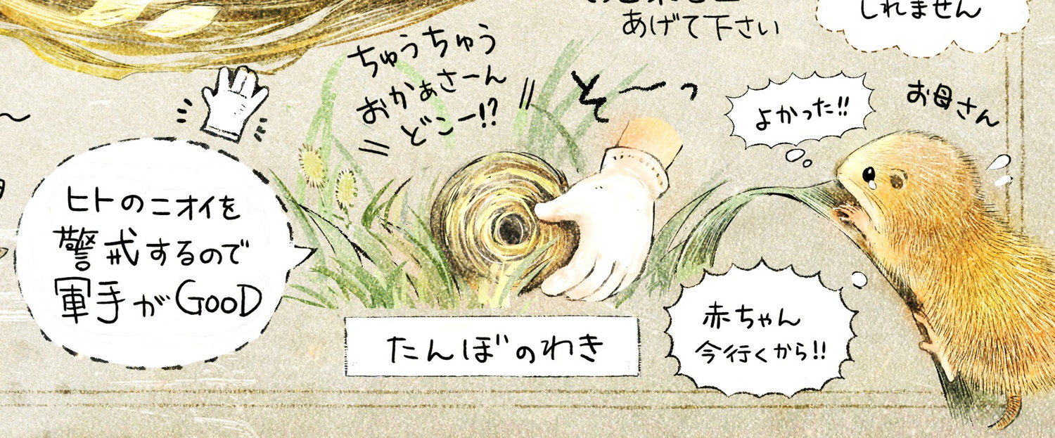 巣やネズミの赤ちゃんを見つけた時は?軍手でそっと草むらに巣を置いて下さい。お母さんネズミが迎えに来るかもしれません。カヤネズミとは?イラスト解説
