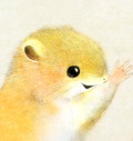カヤネズミの顔