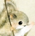 ニホンモモンガの顔