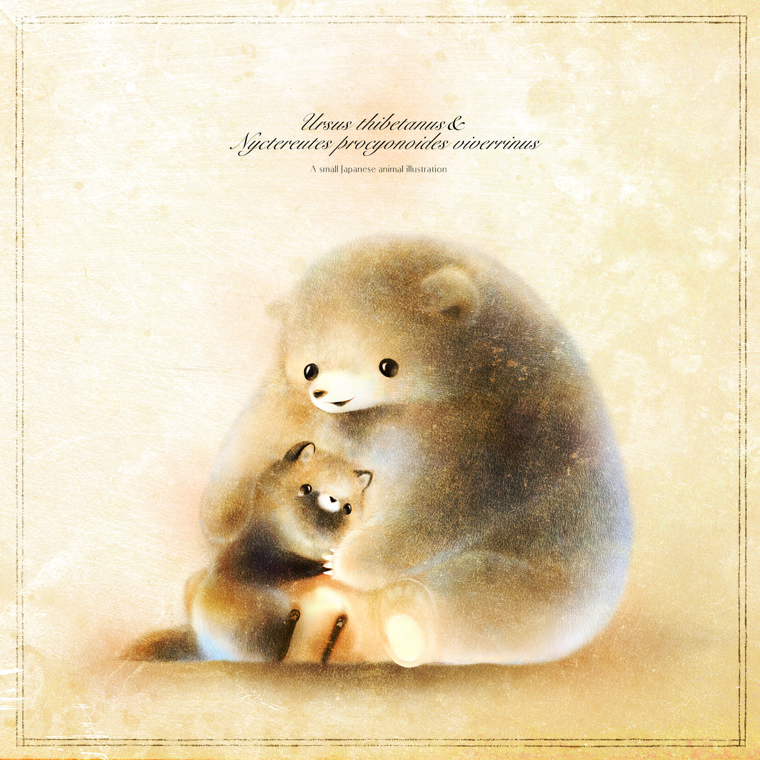 ホンドタヌキとツキノワグマ　寄り添う・抱きしめるイラスト　Raccoon_dog　Moon bear