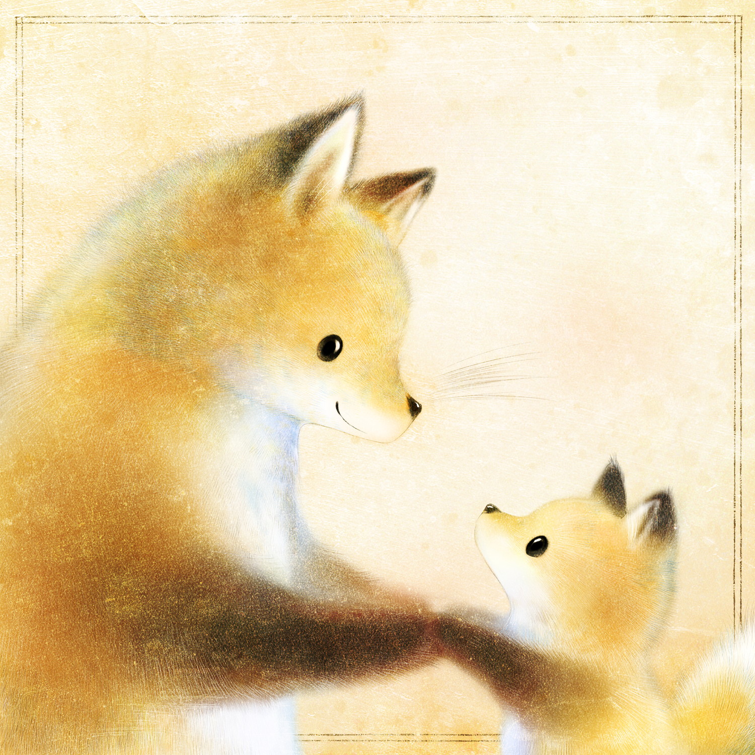 ホンドギツネ