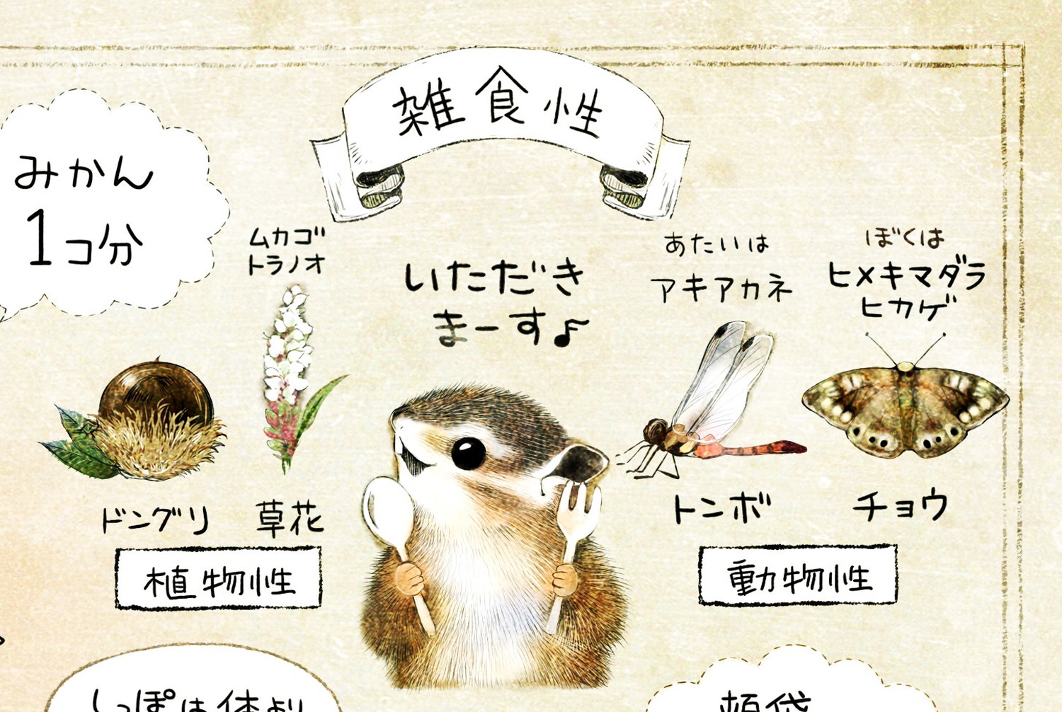 シマリスの食べ物　ドングリ・草花・昆虫・トンボ・蝶　エゾシマリスのイラスト　シマリスの暮らし・生態の解説　chipmunk
