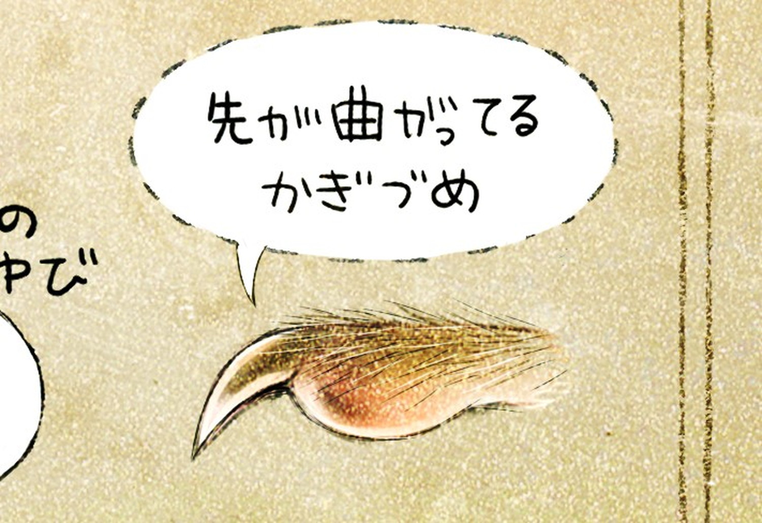 シマリスの指先・爪。エゾシマリスのイラスト シマリスの暮らし・生態の解説 chipmunk