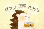 イラストの依頼に♪自分で撮影した資料を渡す3つのメリット