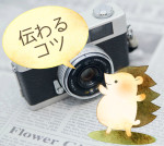 イラストレーターへ写真の資料を渡す時必見！よく伝わるコツ