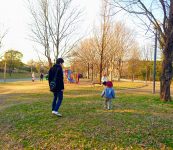 鶴見緑地公園 「こどもの森」は遊具がいっぱい！おでかけレポ
