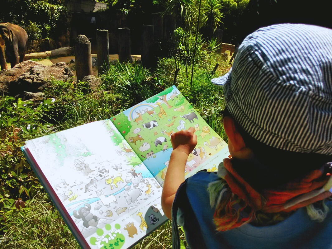 動物園で本物のぞうさんを見て、図鑑のぞうさんを指差す