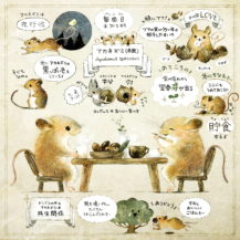 アカネズミってどんな生きもの？
