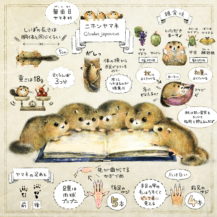 ニホンヤマネってどんな生きもの？