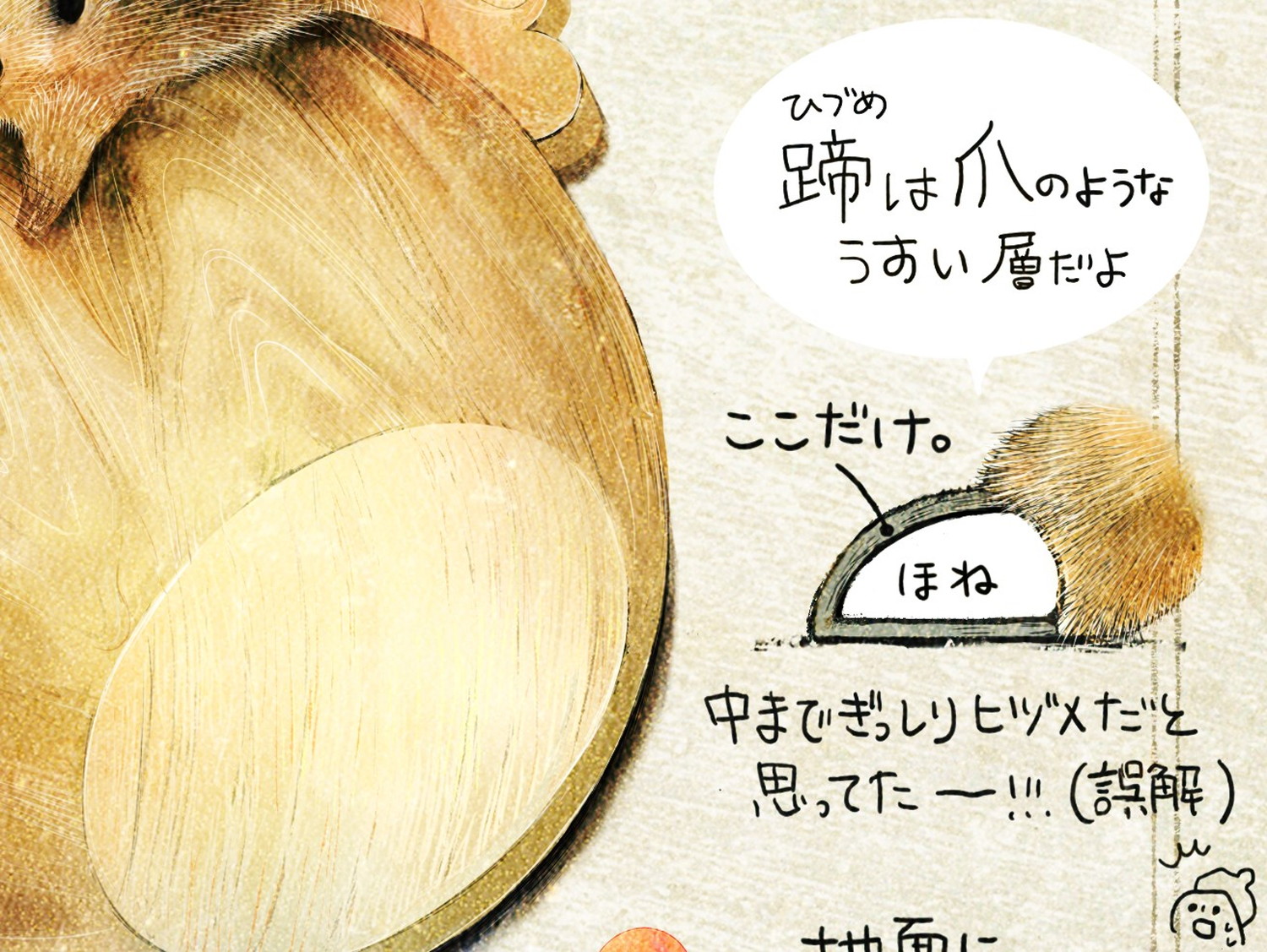 ニホンイノシシってどんな生き物 日本の小さな生きものイラスト作家 いぬいさえこ